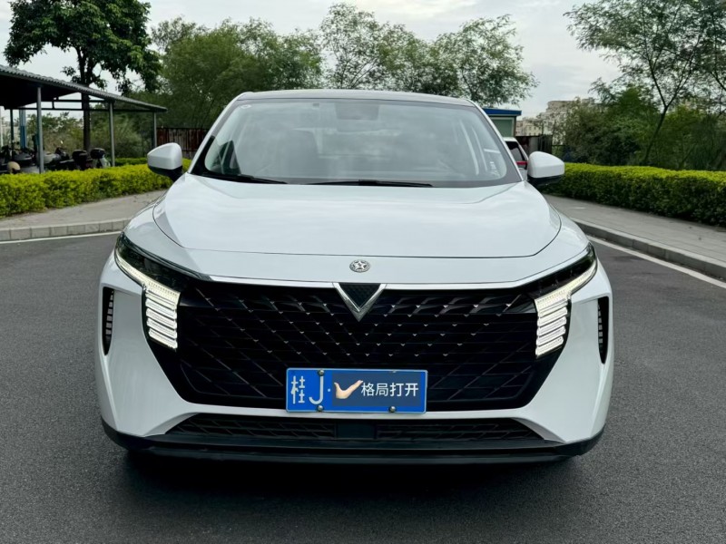 东莞23年启辰大V1