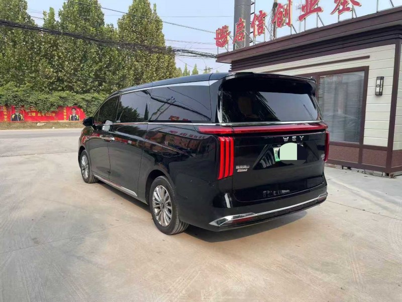 保定24年长城汽车魏牌6