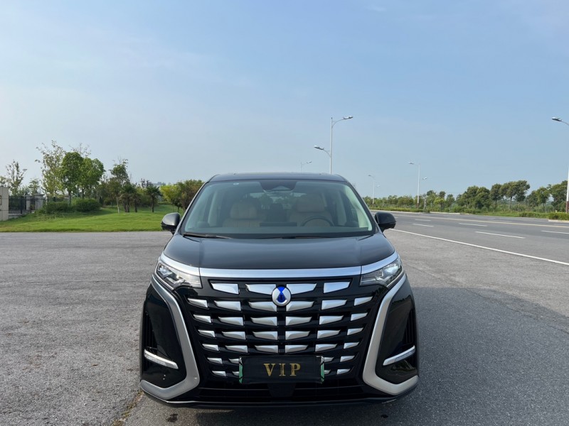 盐城24年腾势D91