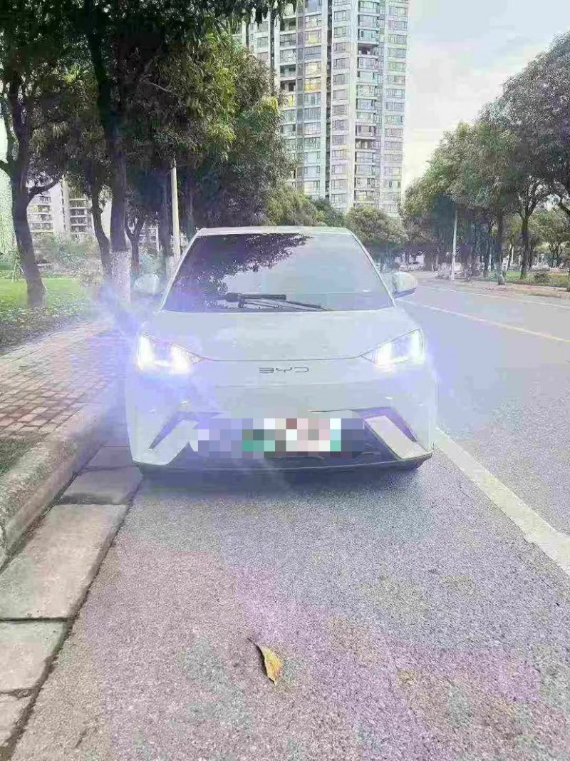 南宁23年比亚迪海鸥1