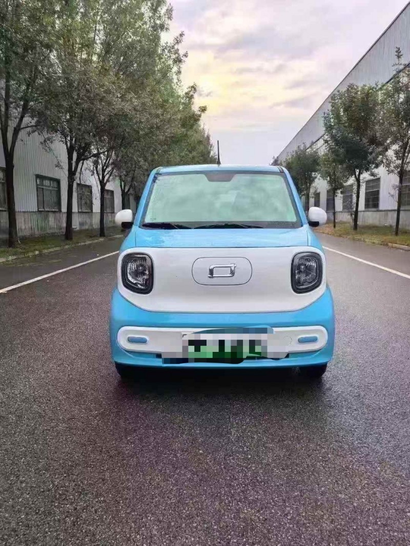 菏泽24年奔腾小马1