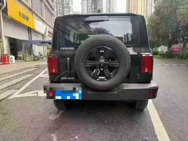 重庆25年长城汽车坦克9