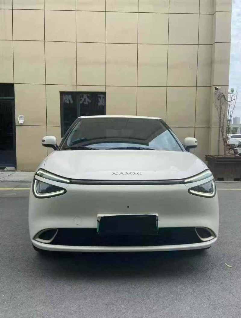 襄阳24年东风纳米1