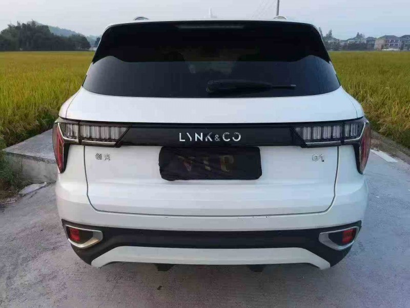 宁波20年领克019