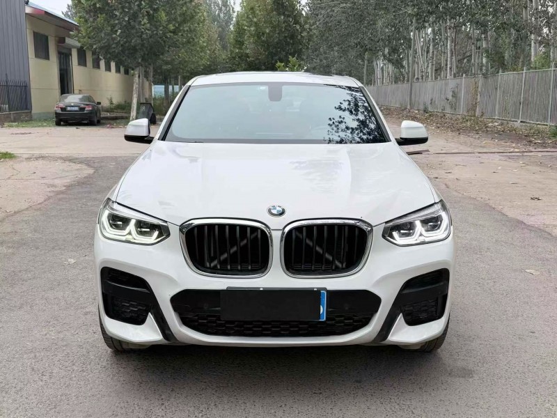 廊坊20年宝马X41