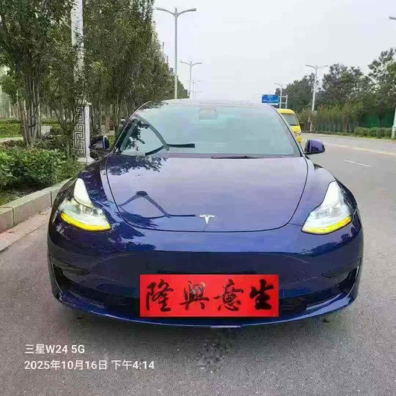 安阳23年特斯拉MODEL 31