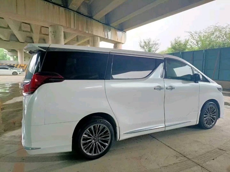 常州19年丰田埃尔法6