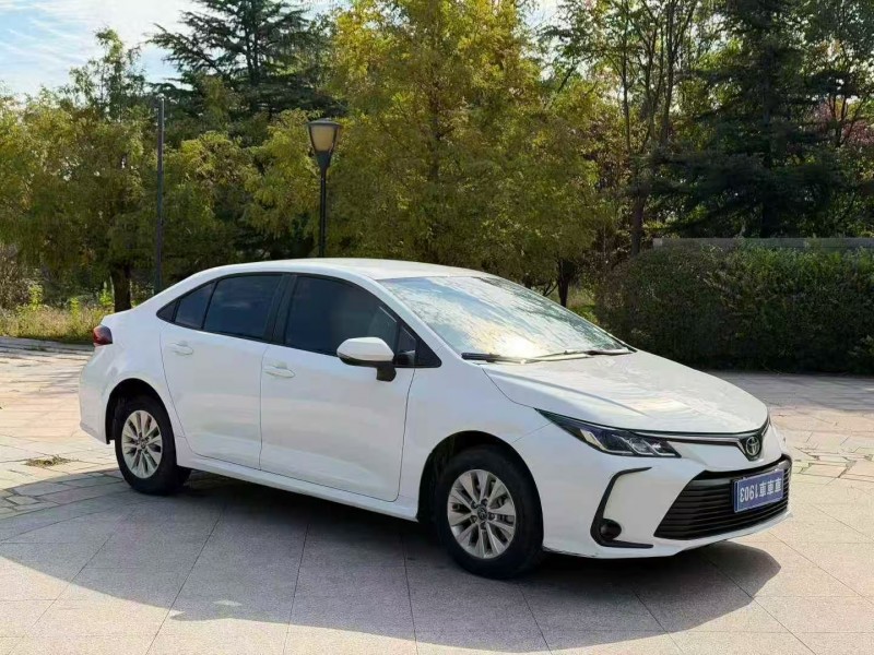 淄博24年丰田卡罗拉3