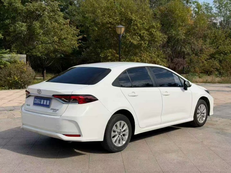 淄博24年丰田卡罗拉7