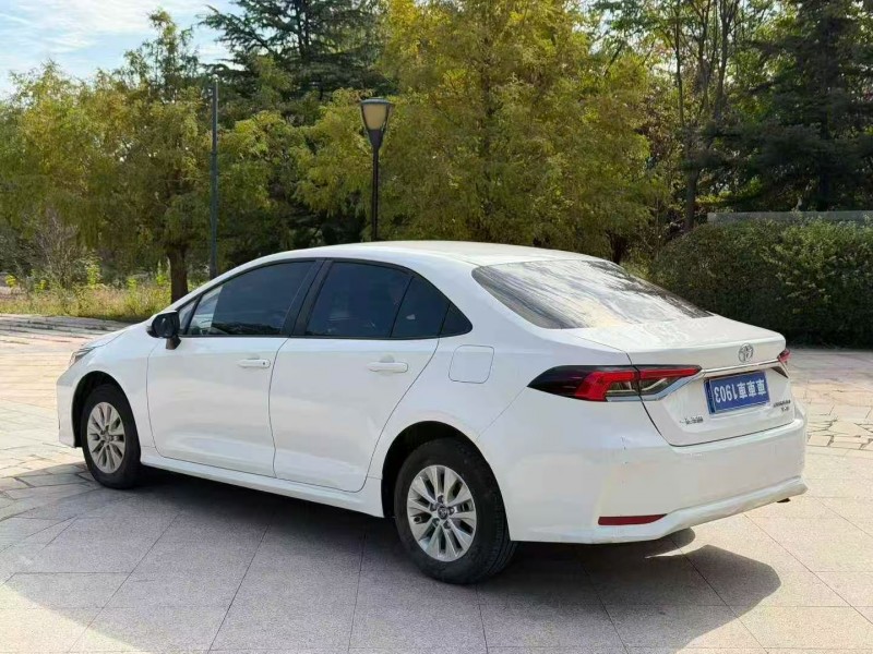 淄博24年丰田卡罗拉8