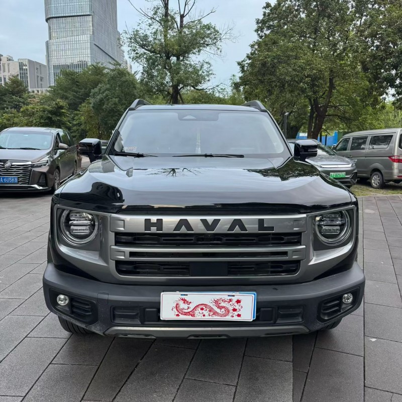 佛山24年哈弗大狗1