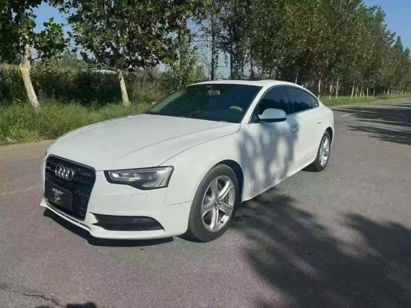 东营13年奥迪A52