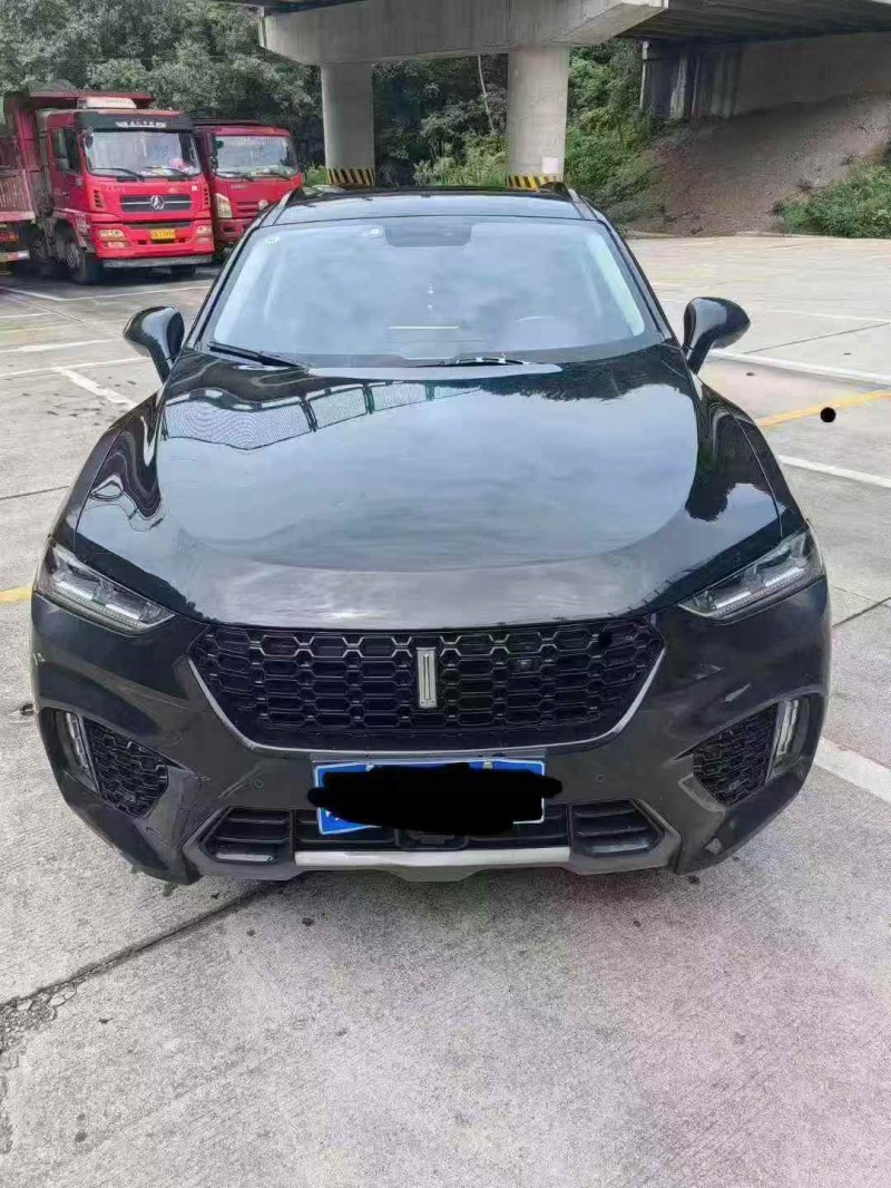 蚌埠17年长城汽车魏牌1