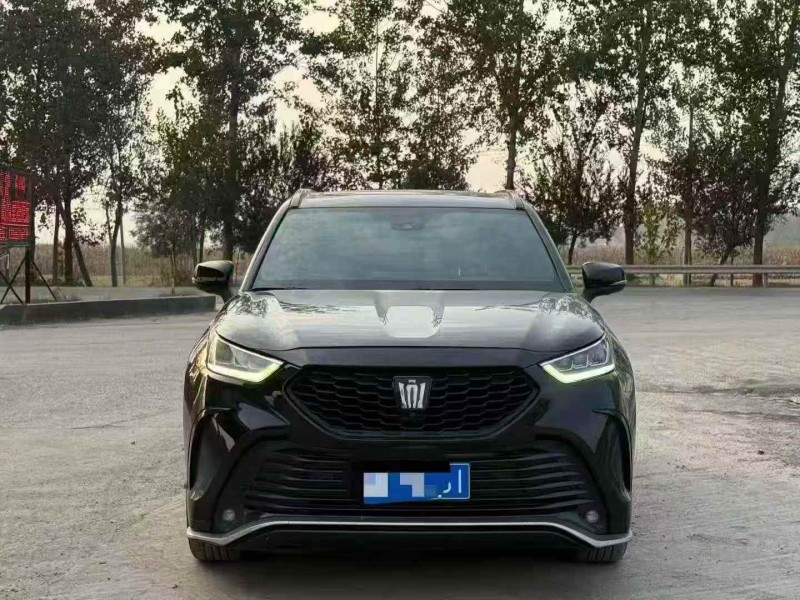 菏泽25年丰田锐放1