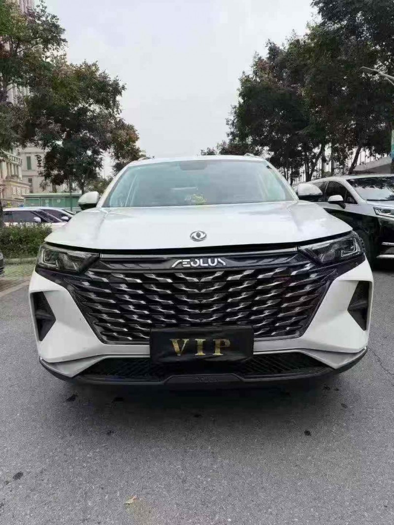 襄阳22年东风风神9