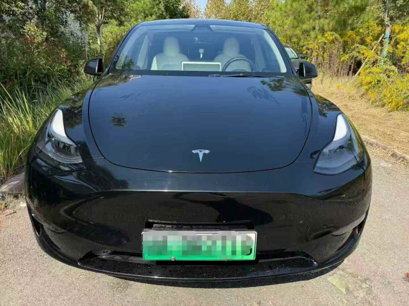 宜昌21年特斯拉MODEL Y1
