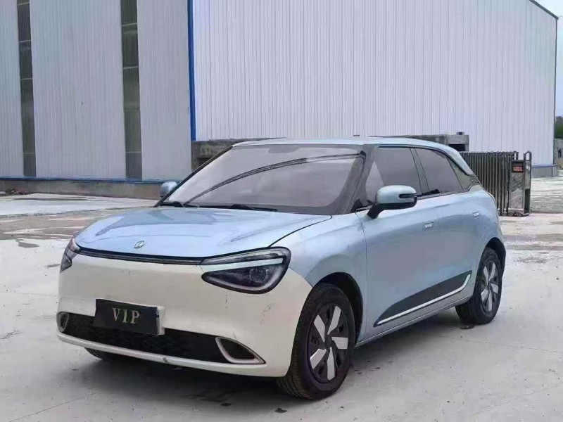 菏泽24年东风纳米2