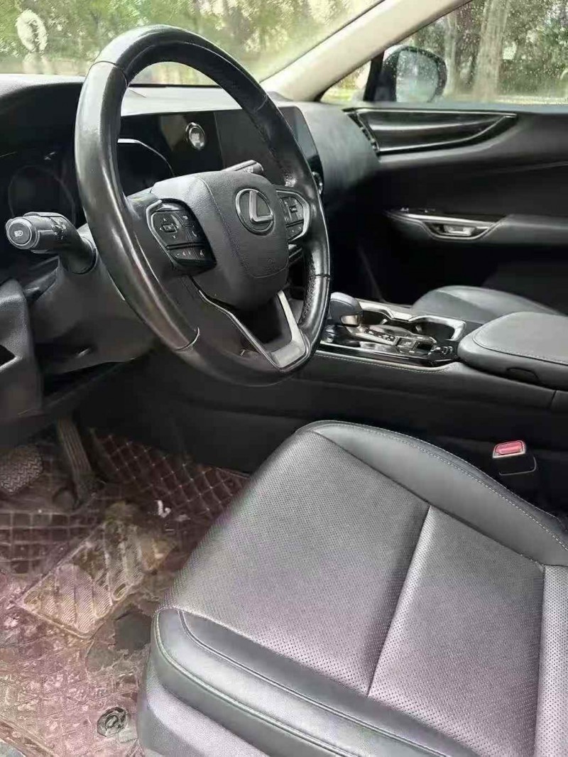 菏泽22年雷克萨斯NX4
