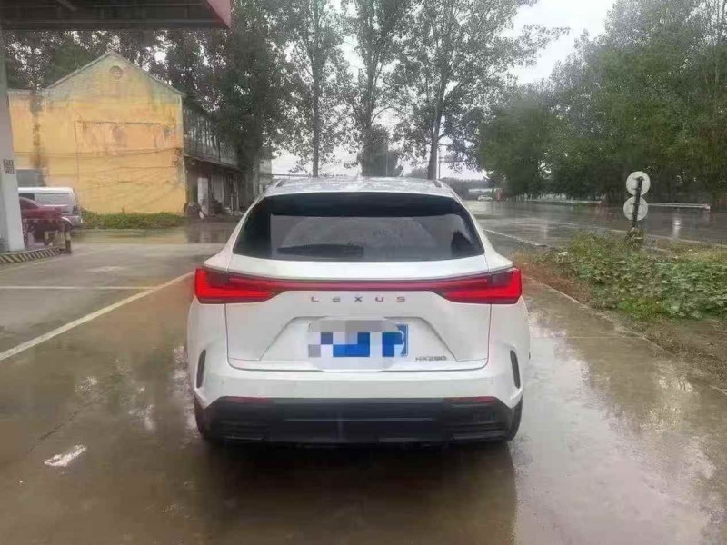 菏泽22年雷克萨斯NX9