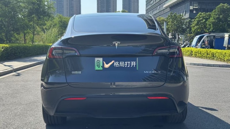 东莞24年特斯拉MODEL Y9
