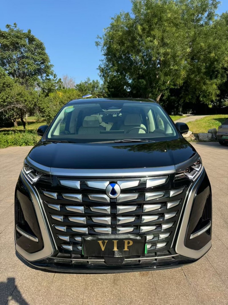 邢台24年腾势D91