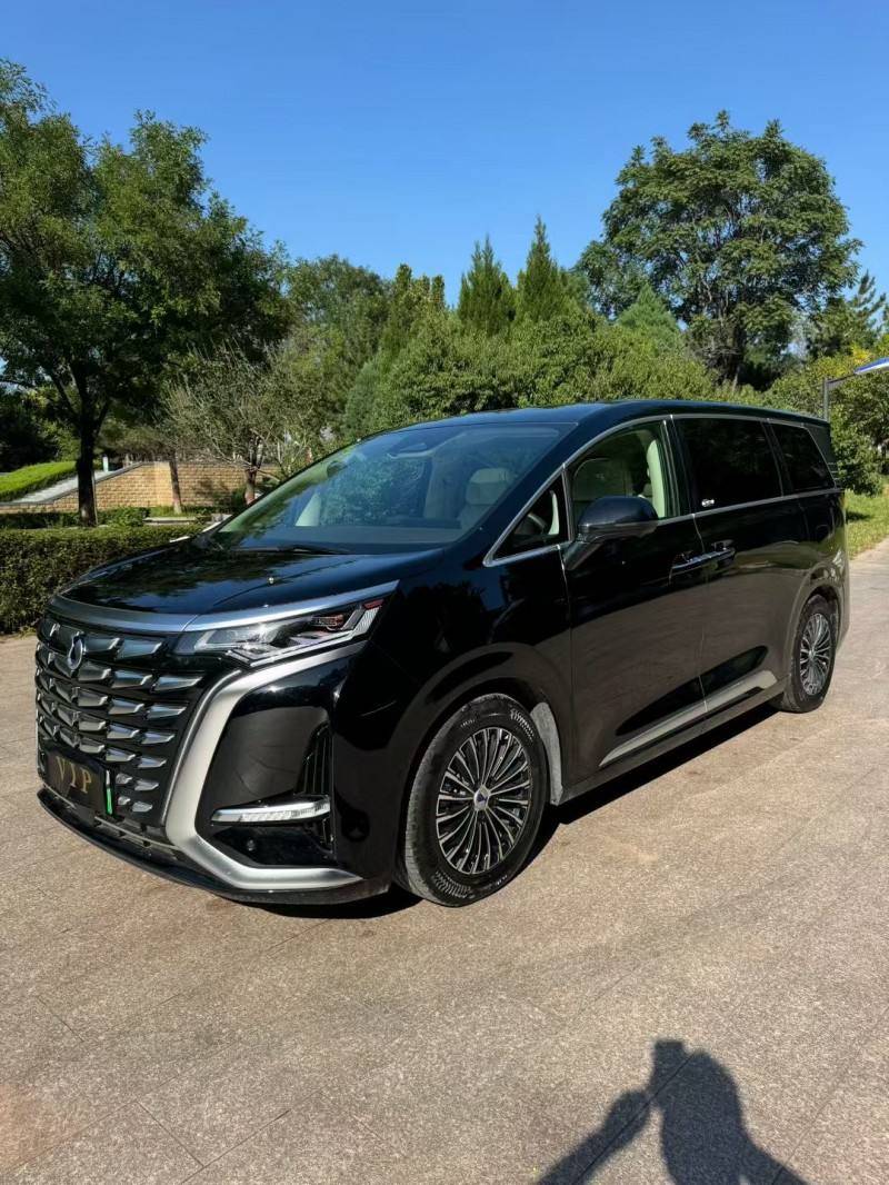 邢台24年腾势D97