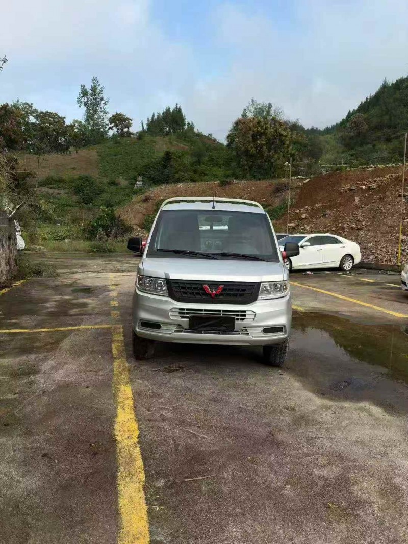 重庆25年五菱汽车荣光1