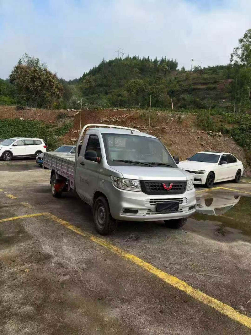 重庆25年五菱汽车荣光2