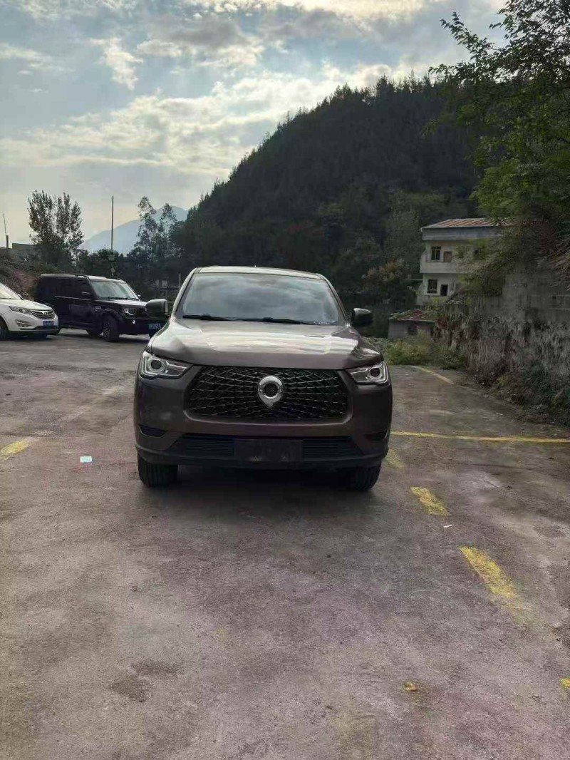 重庆20年长城汽车炮 皮卡1