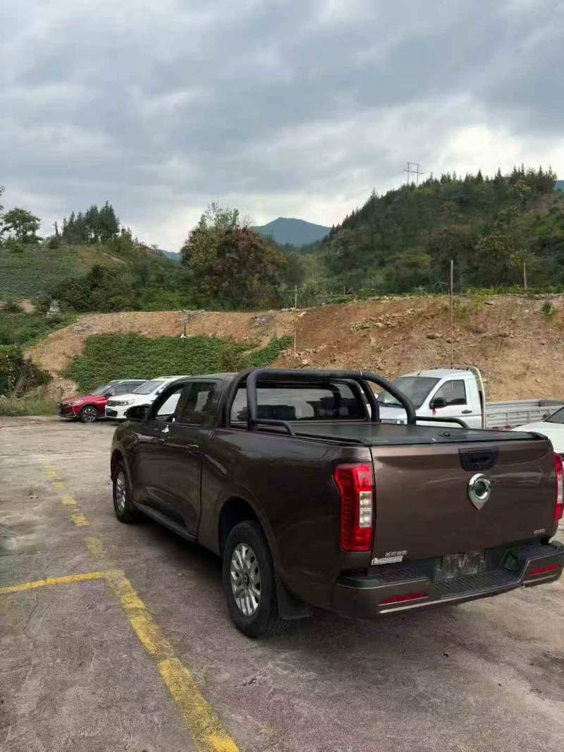 重庆20年长城汽车炮 皮卡8