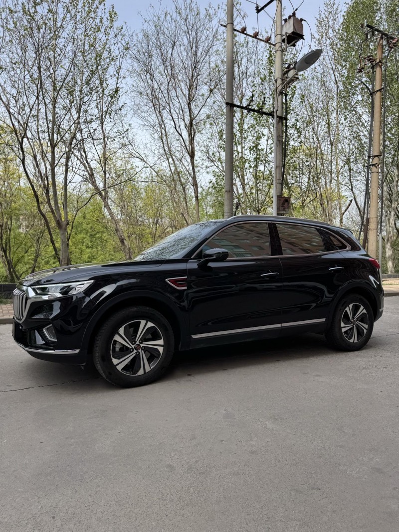 邢台20年红旗HS52