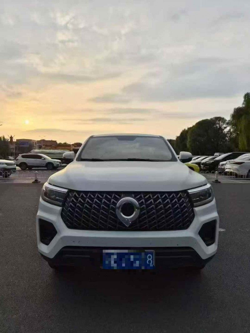 新乡24年长城汽车炮 皮卡1