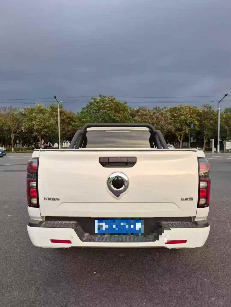 新乡24年长城汽车炮 皮卡9