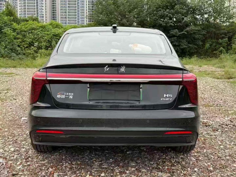 益阳25年红旗H99