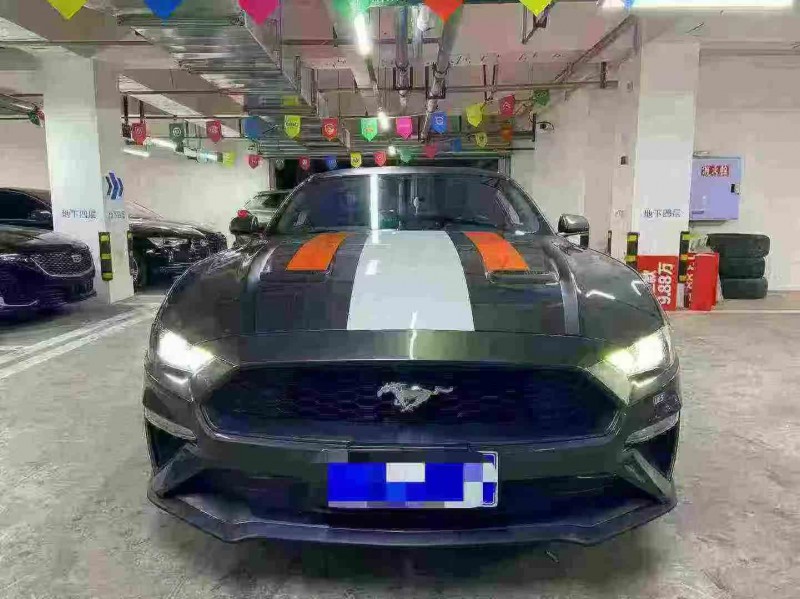 泸州19年福特野马1