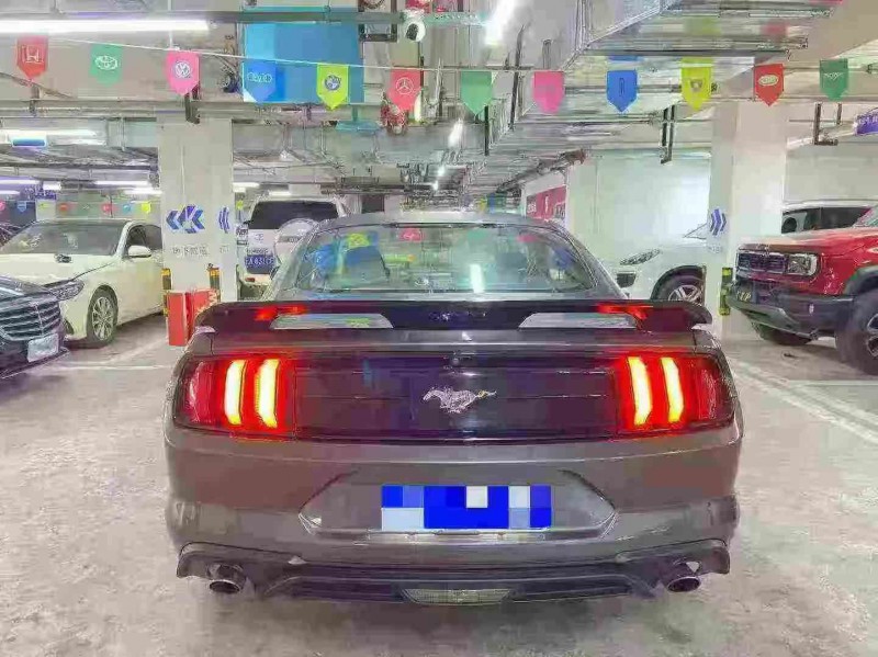 泸州19年福特野马6