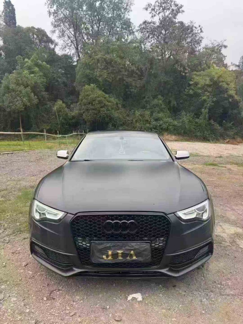 郴州16年奥迪A51