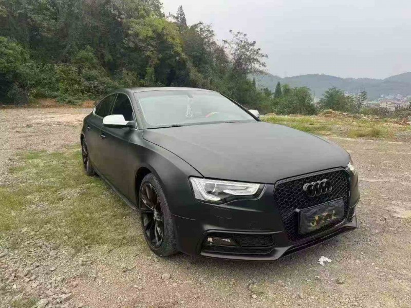 郴州16年奥迪A52