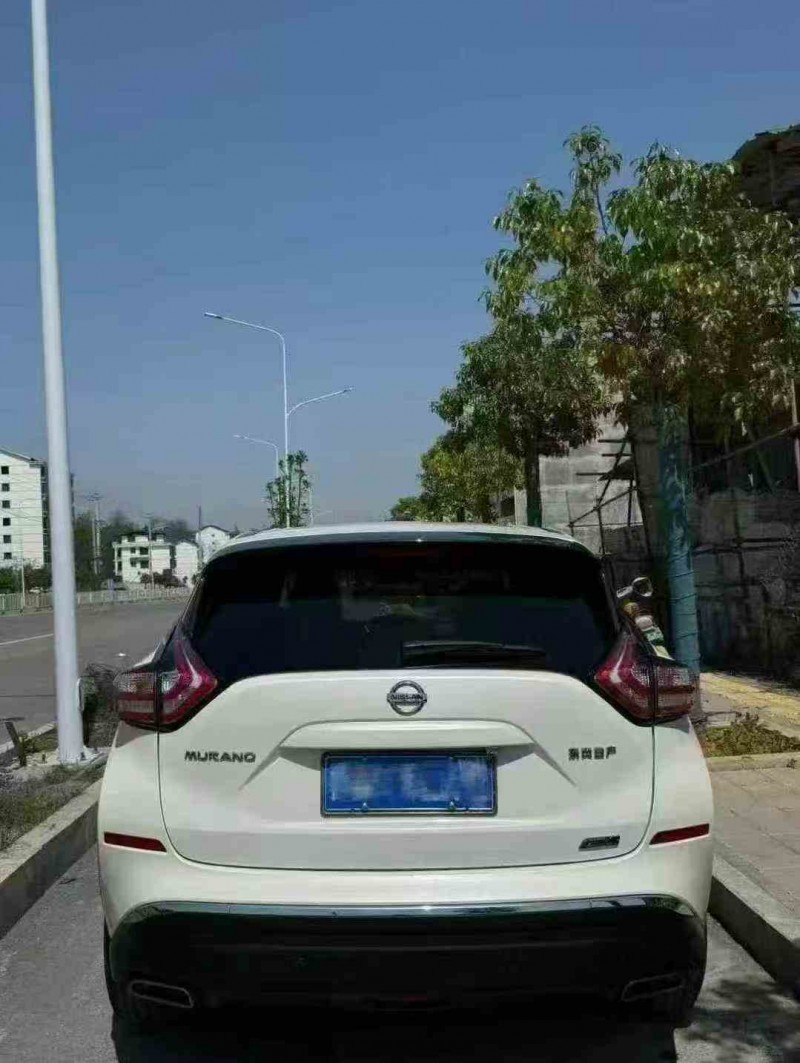 湘潭19年日产楼兰9