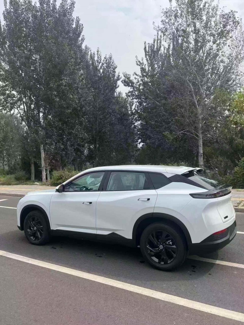 秦皇岛25年东风风神7