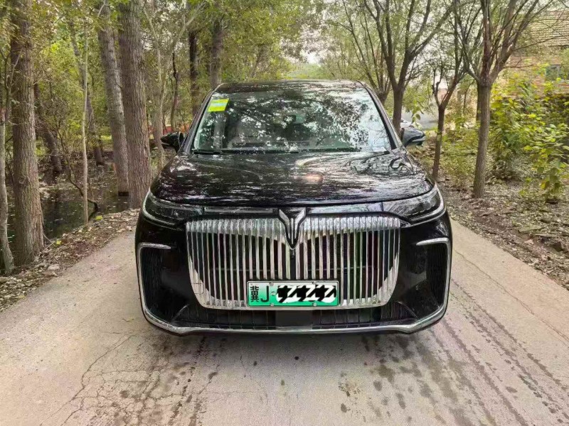 唐山25年岚图汽车梦想家1