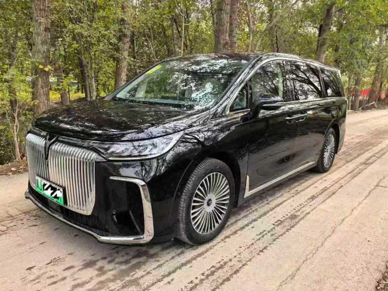 唐山25年岚图汽车梦想家2