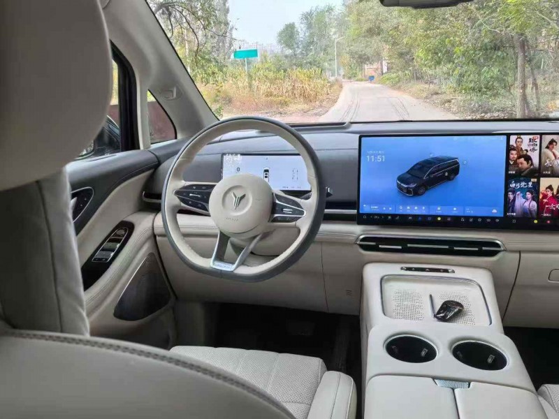 唐山25年岚图汽车梦想家4