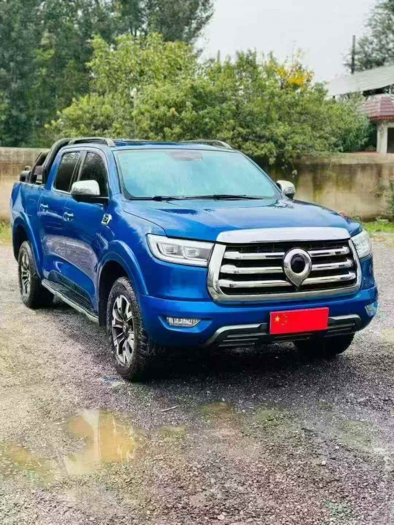 平顶山21年长城汽车炮 皮卡2