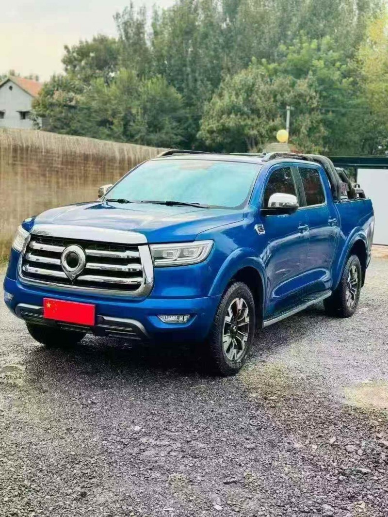 平顶山21年长城汽车炮 皮卡3