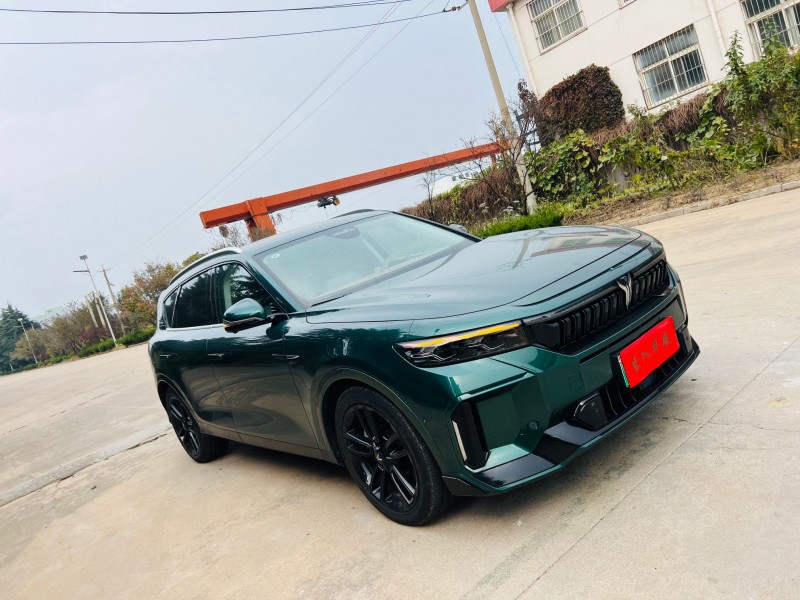 烟台24年岚图汽车FREE2