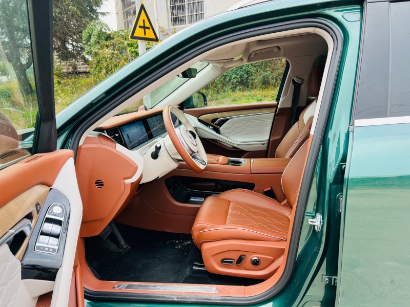 烟台24年岚图汽车FREE8