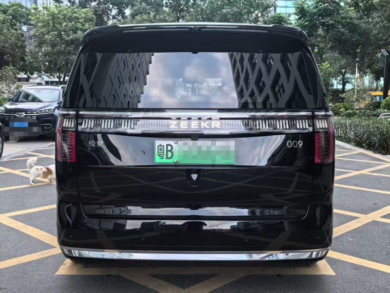 深圳25年极氪汽车0099