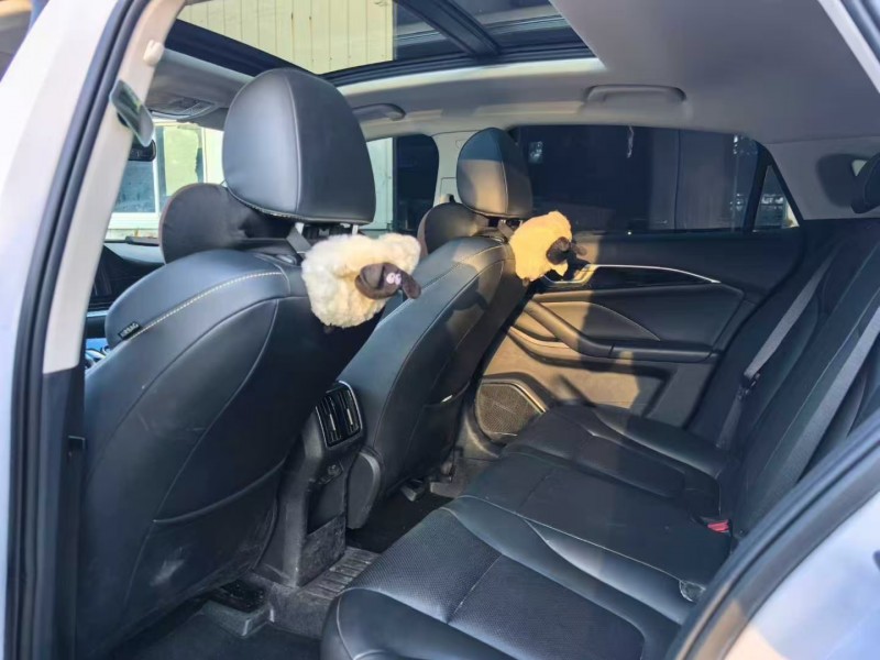 宁波24年奔腾B705