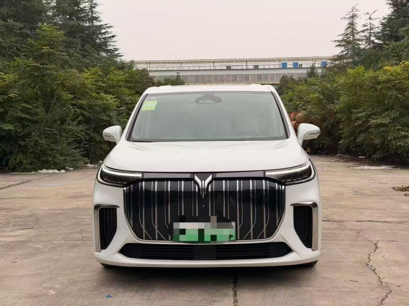 淄博22年岚图汽车梦想家1